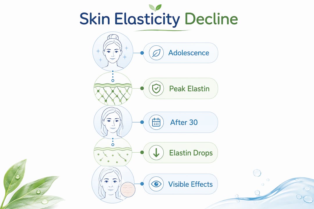 Infographic illustrating stages of skin elasticity decline with age