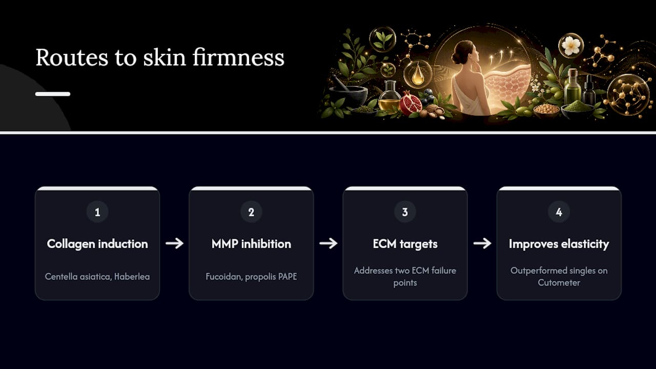 Diagram of dual mechanisms for skin firmness