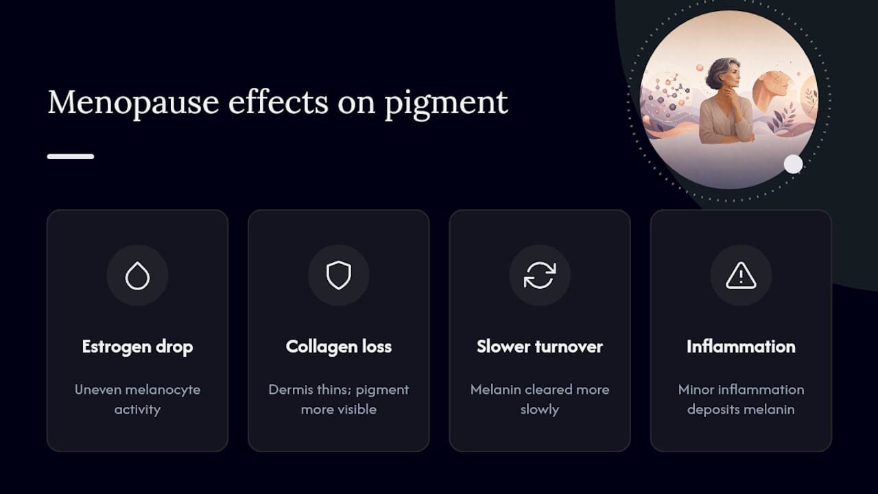 Diagram of menopause effects on skin pigmentation and structure