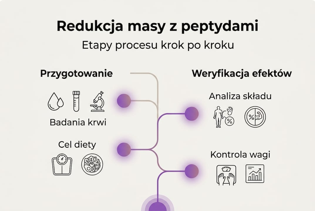 Infografika przedstawiająca kolejne kroki odchudzania z wykorzystaniem peptydów
