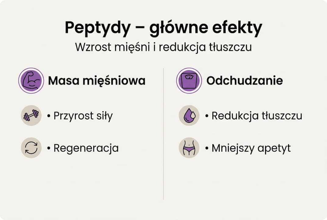Infografika: peptydy – jak wpływają na budowę masy mięśniowej i proces odchudzania