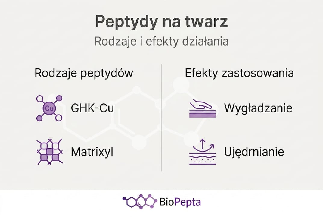 Grafika prezentująca różne typy peptydów oraz ich działanie