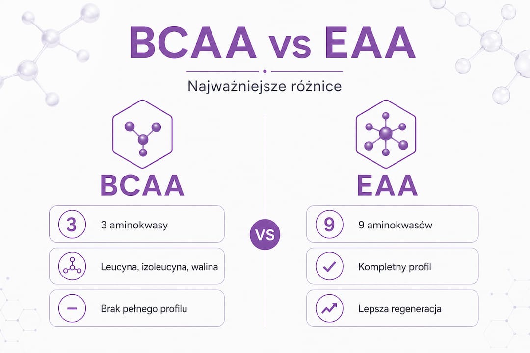 Infografika porównawcza: najważniejsze różnice między BCAA a EAA