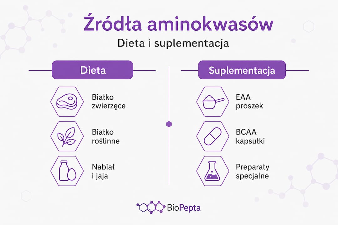 Infografika: Aminokwasy – lepiej czerpać z jedzenia czy z suplementów?
