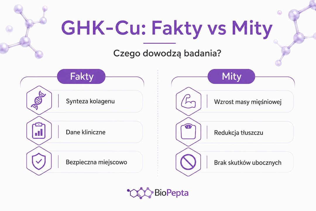 GHK-Cu – fakty i mity. Co naprawdę wiemy? Przegląd badań naukowych w pigułce (infografika)