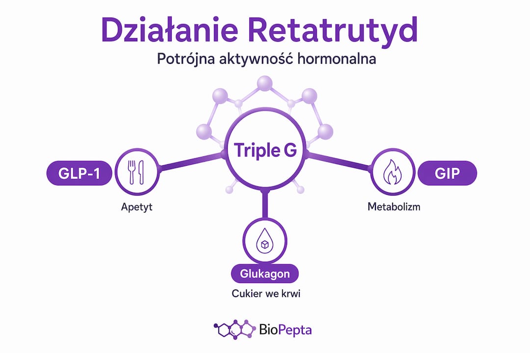 Schemat pokazujący, jak działa system triple G