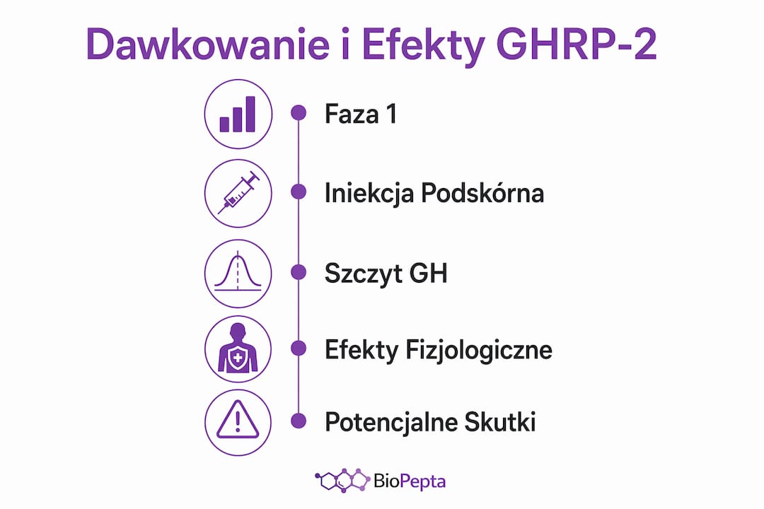 Schematyczne przedstawienie dawkowania GHRP-2 oraz jego działania