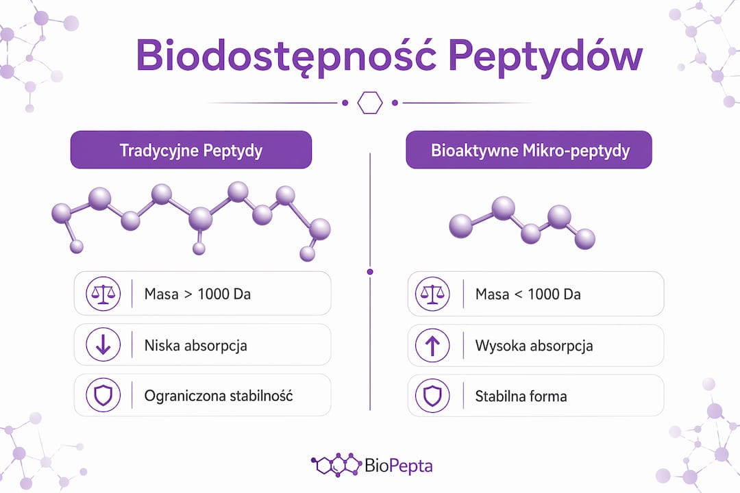 Porównanie przyswajalności tradycyjnych peptydów i mikropeptydów – infografika