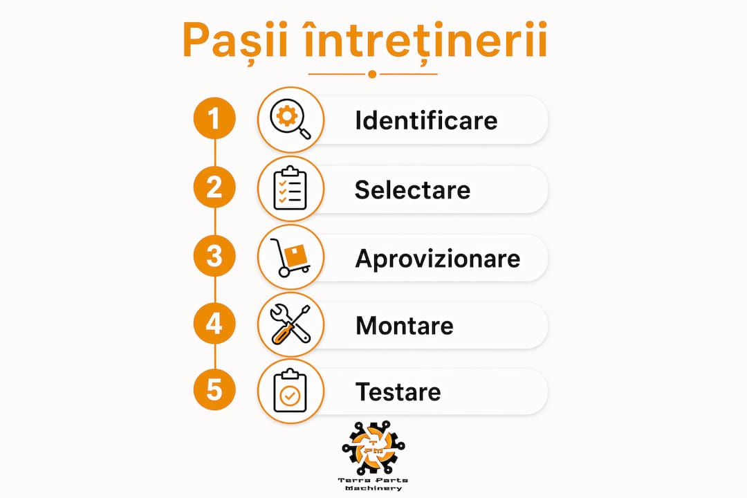 Infografic care prezintă pașii esențiali pentru întreținerea transmisiei Carraro