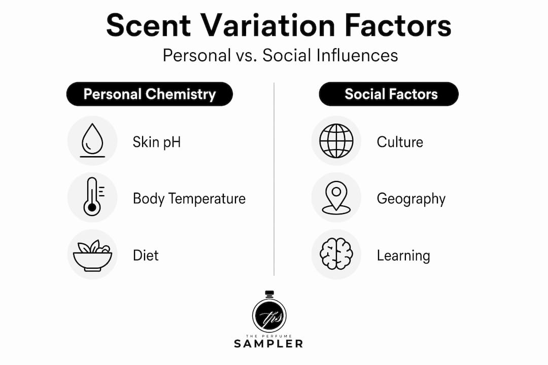 Infographic contrasting personal chemistry and social factors
