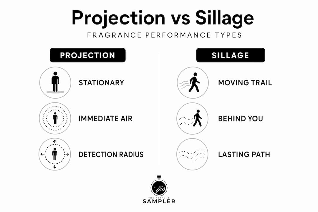 Infographic comparing projection and sillage in fragrance