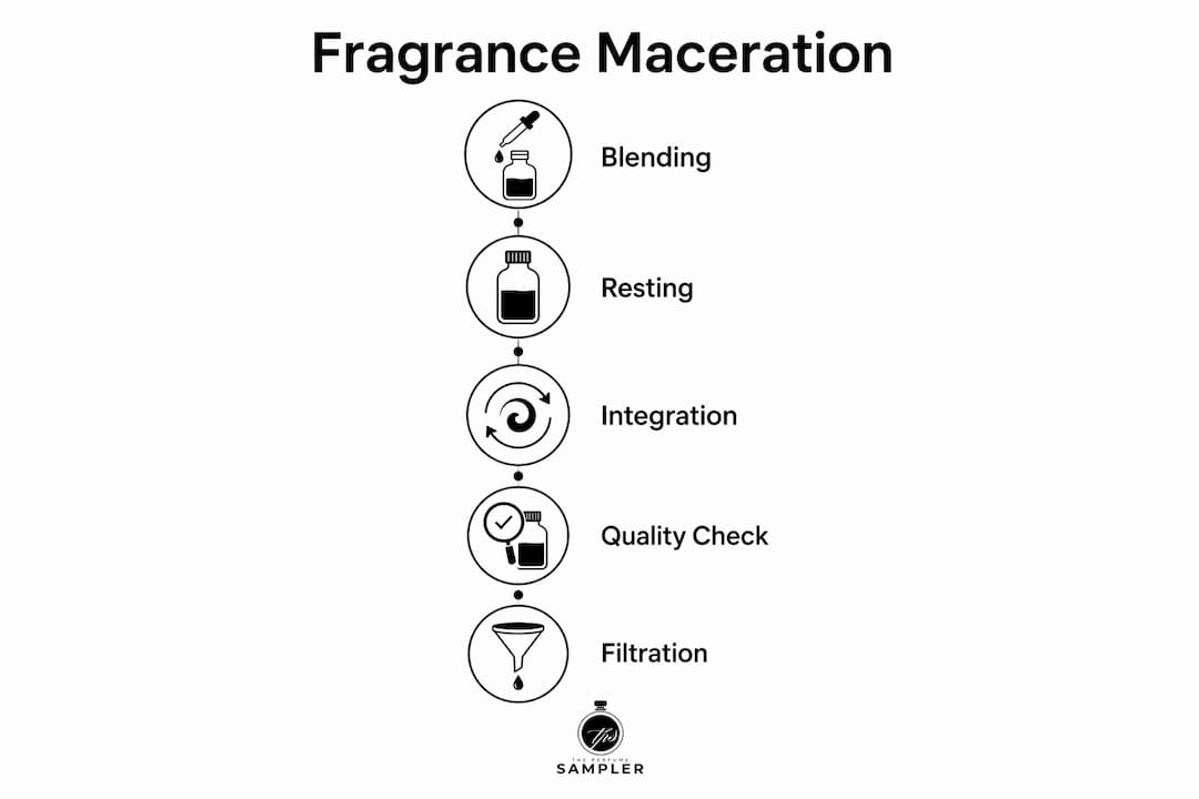 Infographic showing fragrance maceration process stages