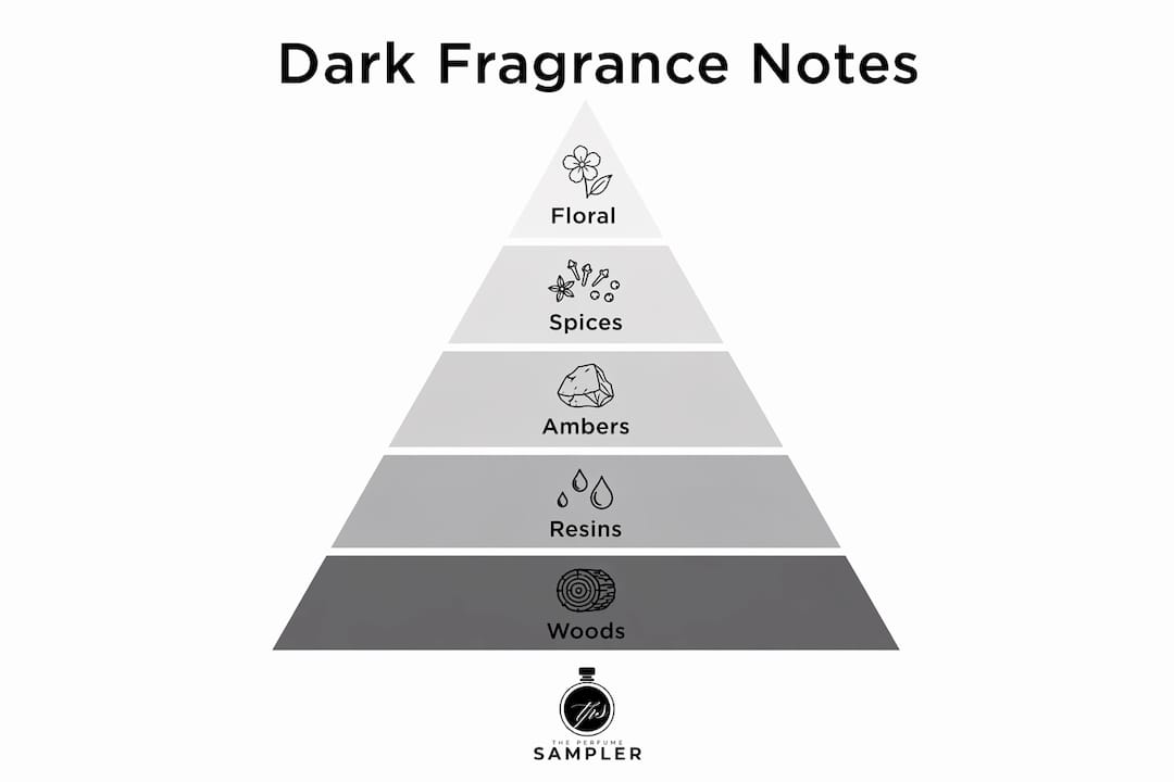 Infographic showing hierarchy of dark fragrance notes