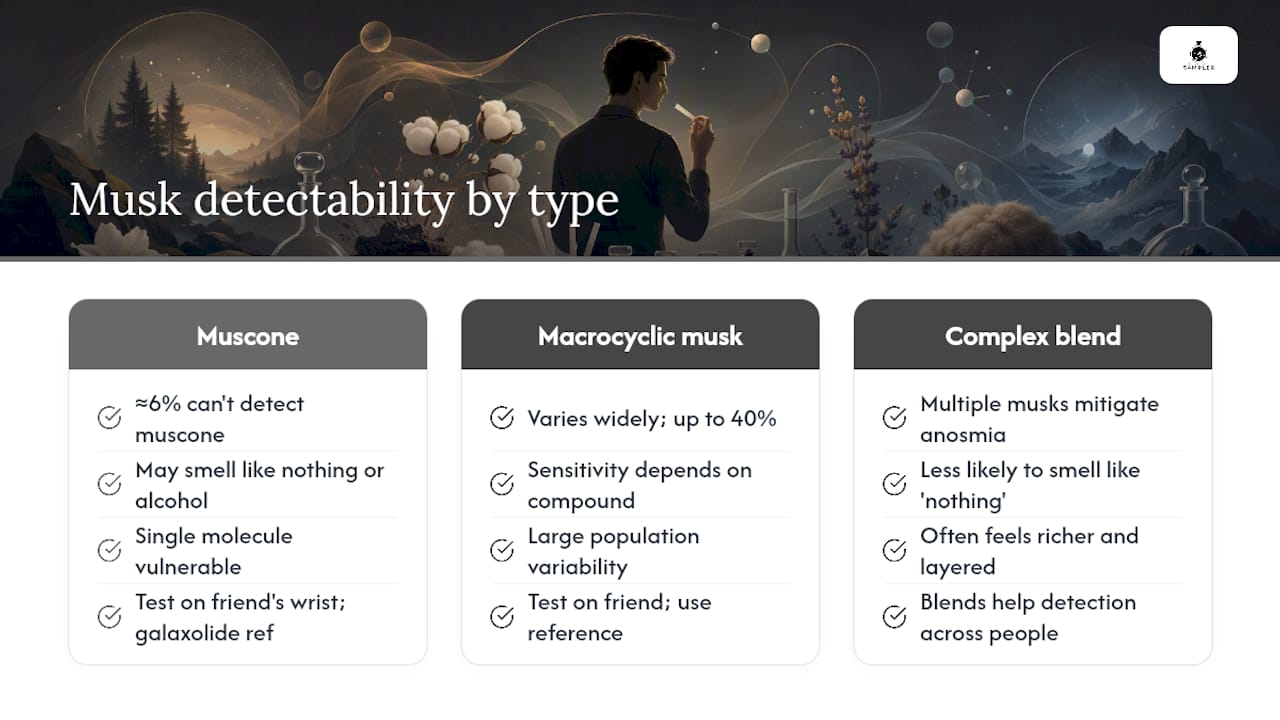 Why some people cannot smell certain musks — overview diagram