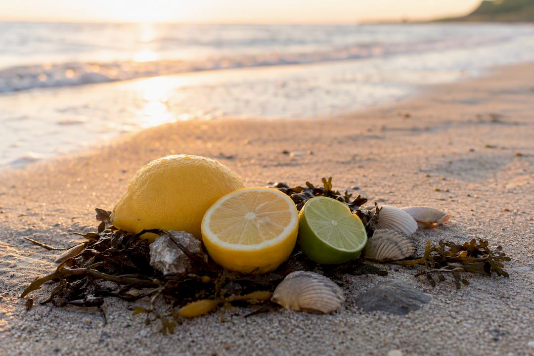 Summer citrus and aquatic fragrance components
