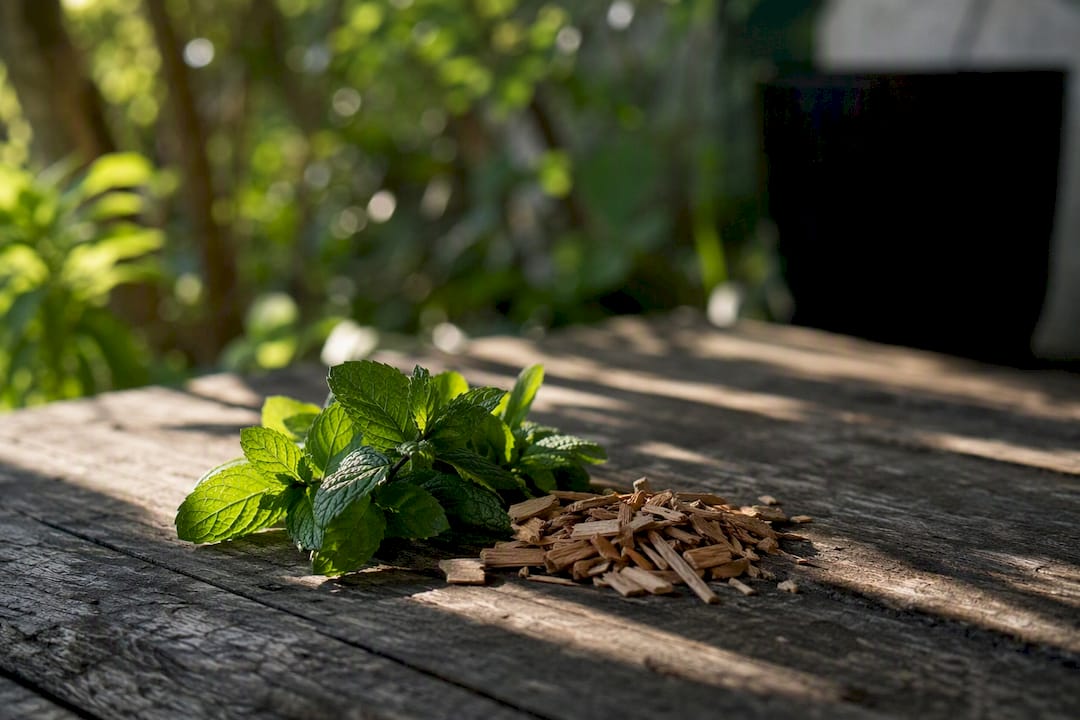 Spearmint with sandalwood chips on stone slab