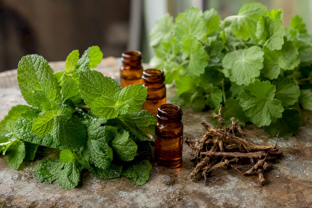 Herbal mint leaves and fragrance botanicals