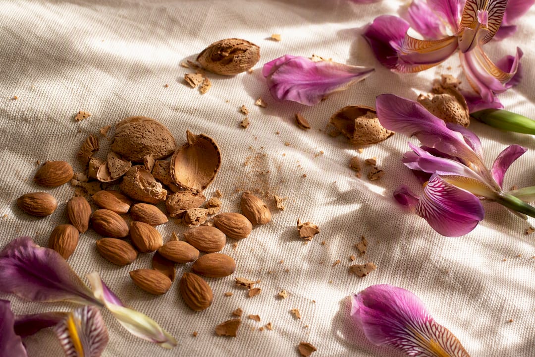 Almond and supporting fragrance ingredients flat lay