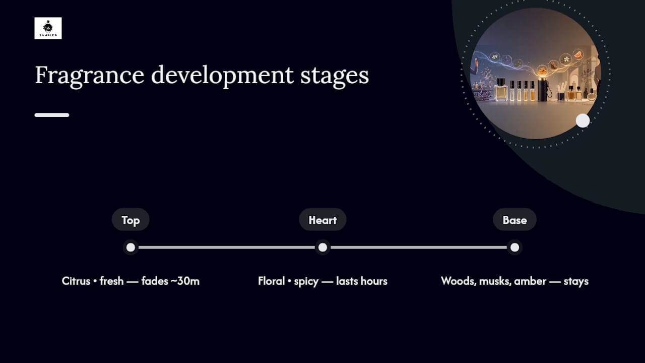Timeline of fragrance top heart and base notes