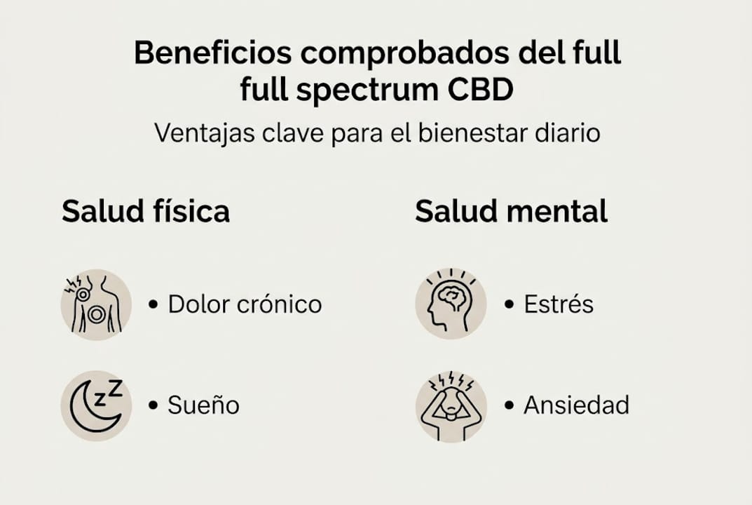 Descubre en esta infografía los principales beneficios del CBD de espectro completo.