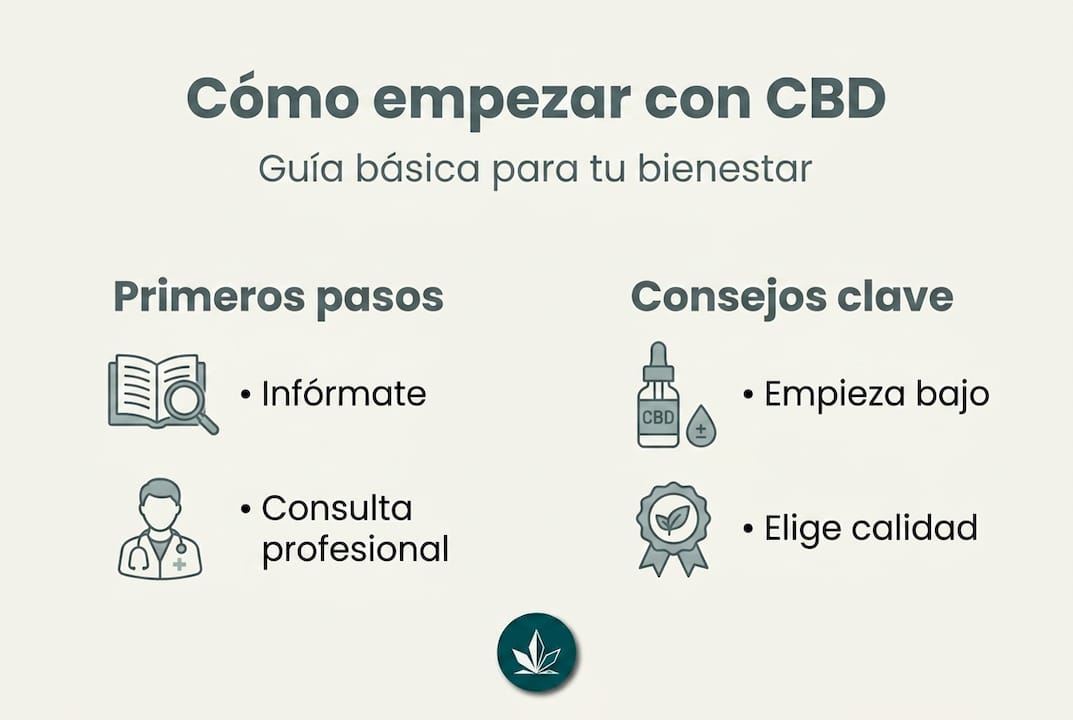 Guía visual: ¿Cómo iniciarte en el uso del CBD paso a paso?