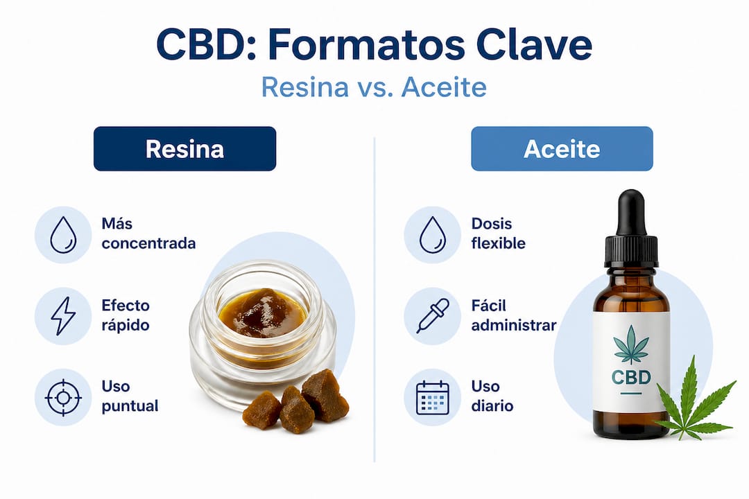 Infografía: diferencias clave entre la resina y el aceite de CBD
