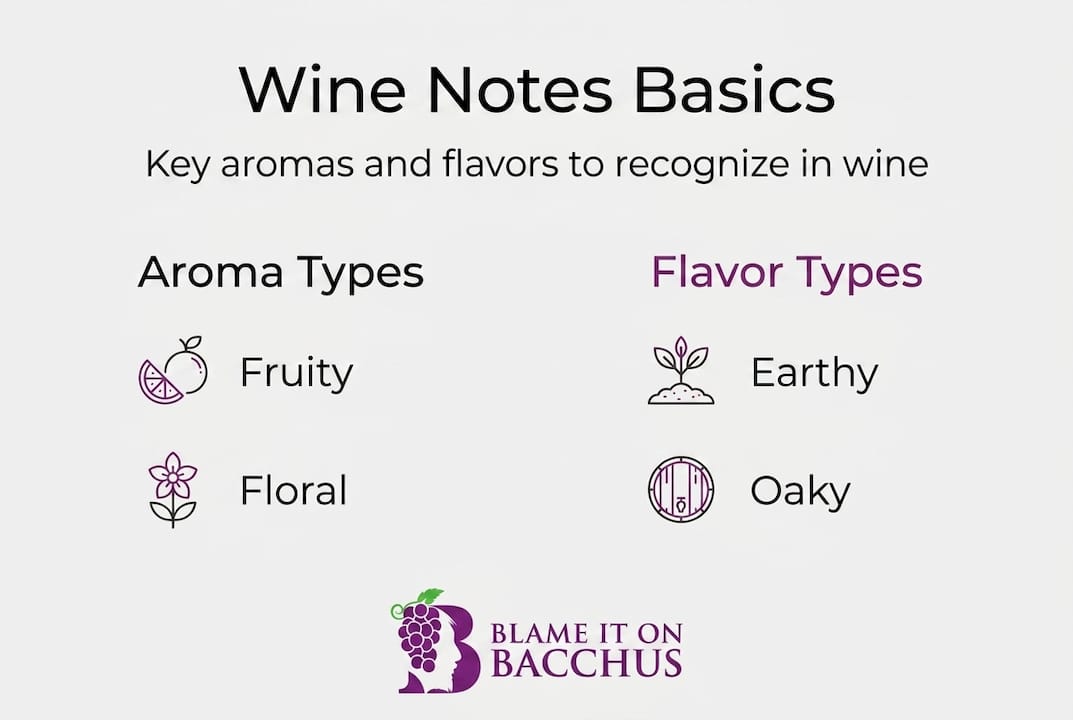 Infographic showing basic wine notes categories
