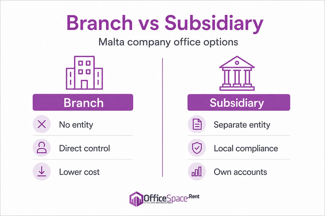 Infographic comparing branch and subsidiary setup
