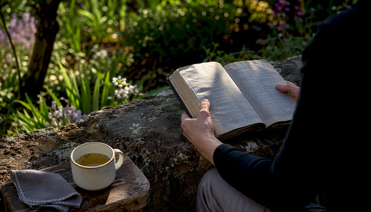 Hands holding open Bible in natural light