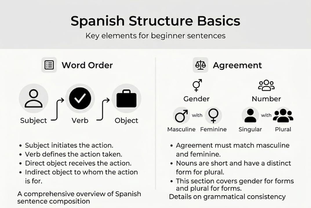 Infographic on Spanish sentence basics