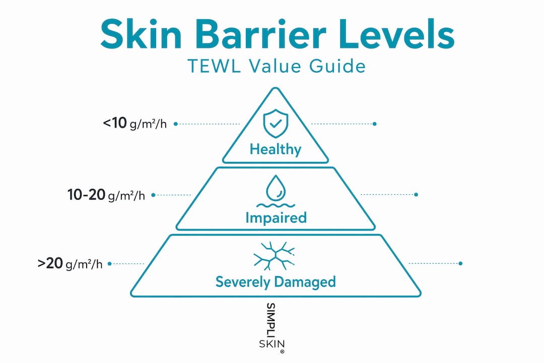 Skin barrier levels pyramid infographic
