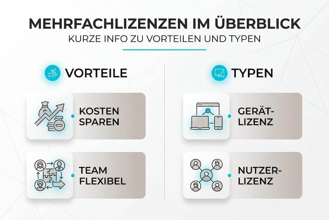 Die Infografik veranschaulicht die Vorteile und verschiedenen Arten von Mehrfachlizenzen.