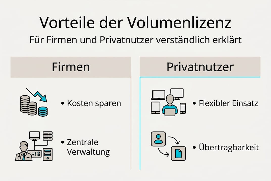 Infografik: Die Vorteile von Volumenlizenzen – Was Unternehmen und Privatnutzer davon haben