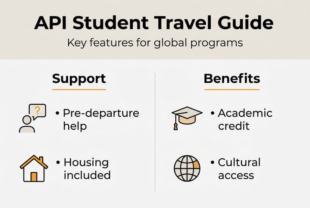 infographic showing api support and benefits
