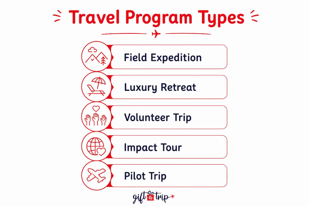 the role of travel in donor engagement: 2026 guide 4 infographic showing types of donor travel programs