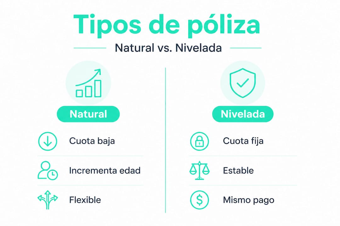 Infografía comparativa de los diferentes tipos de pólizas