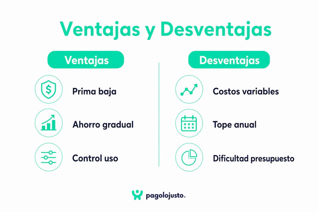 Infografía con los principales pros y contras del sistema de copago