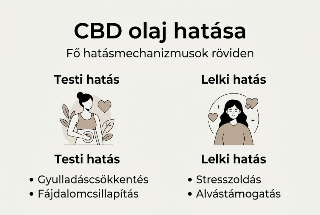 CBD olaj – Milyen jótékony hatásai vannak? Infografika