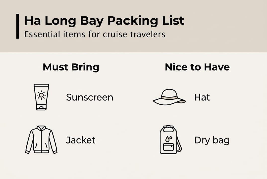 Infographic for cruise packing checklist essentials