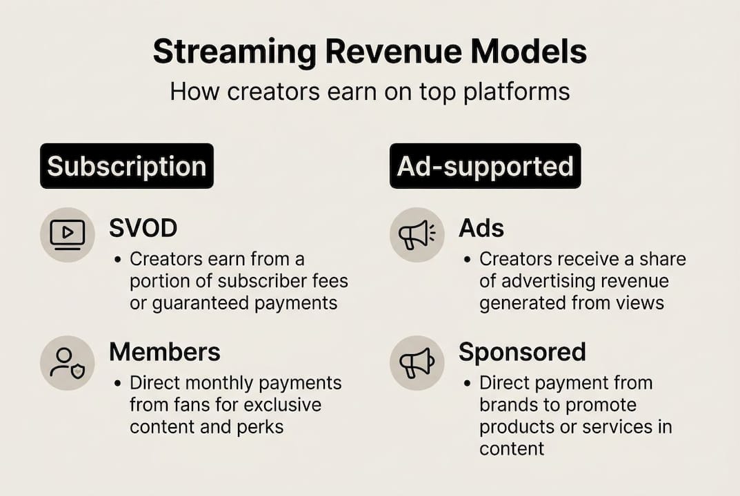 Infographic about streaming revenue model types
