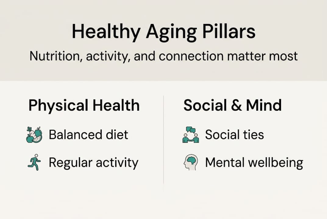 Infographic summarizing healthy aging pillars