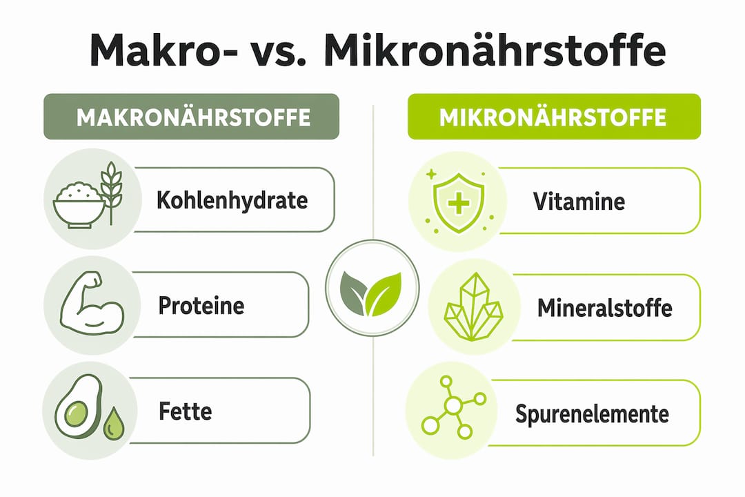 Makro- und Mikronährstoffe im Überblick – Infografik für eine ausgewogene Ernährung
