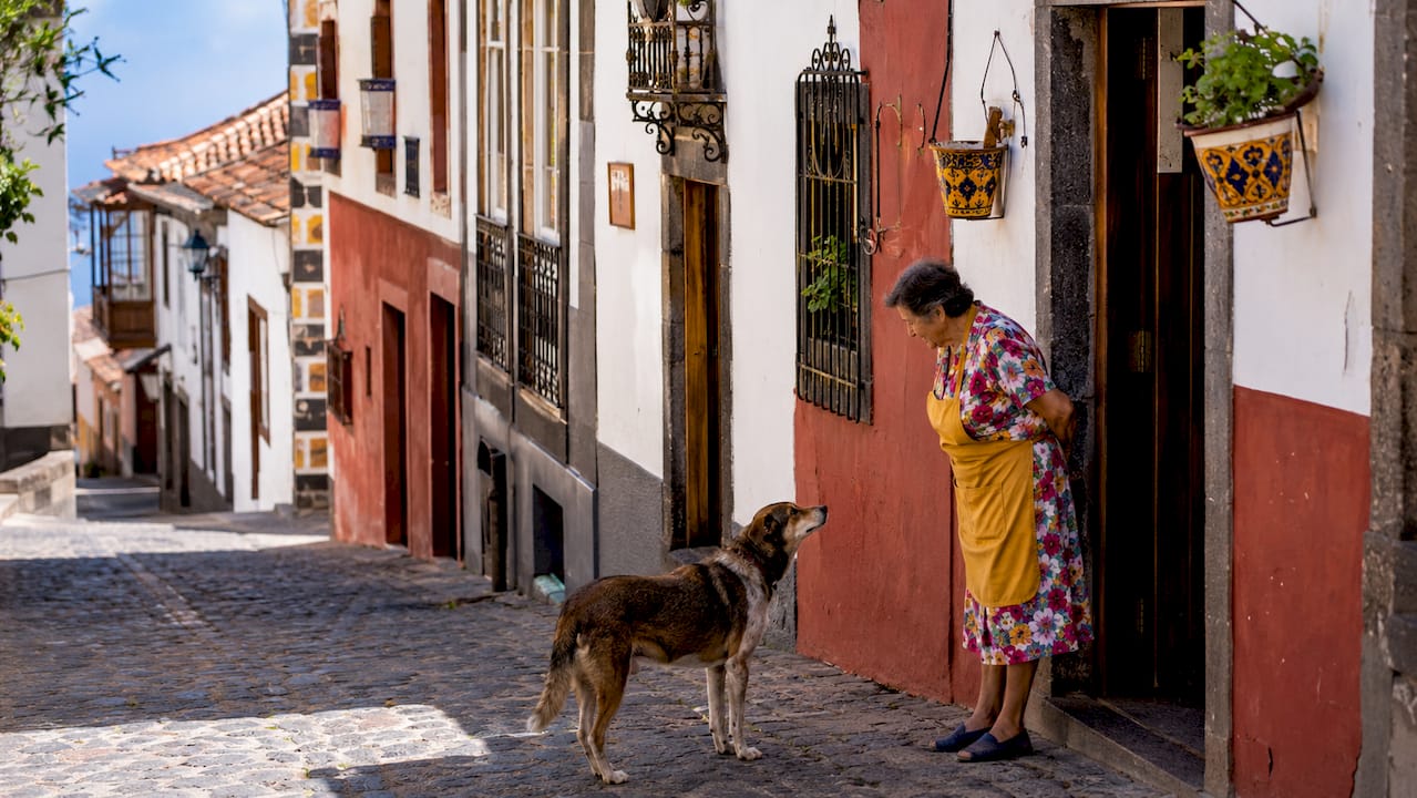 Una calle típica de un pueblo del norte, con una mujer paseando y un gato curioseando cerca.