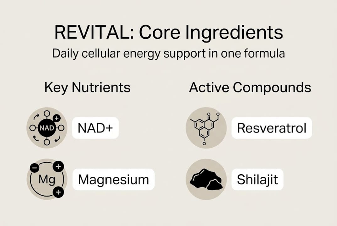 Infographic showing REVITAL core ingredients