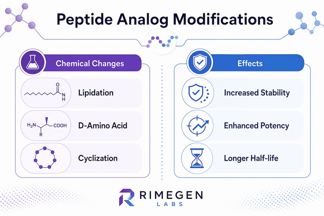 Infographic comparing peptide analog modification types and effects