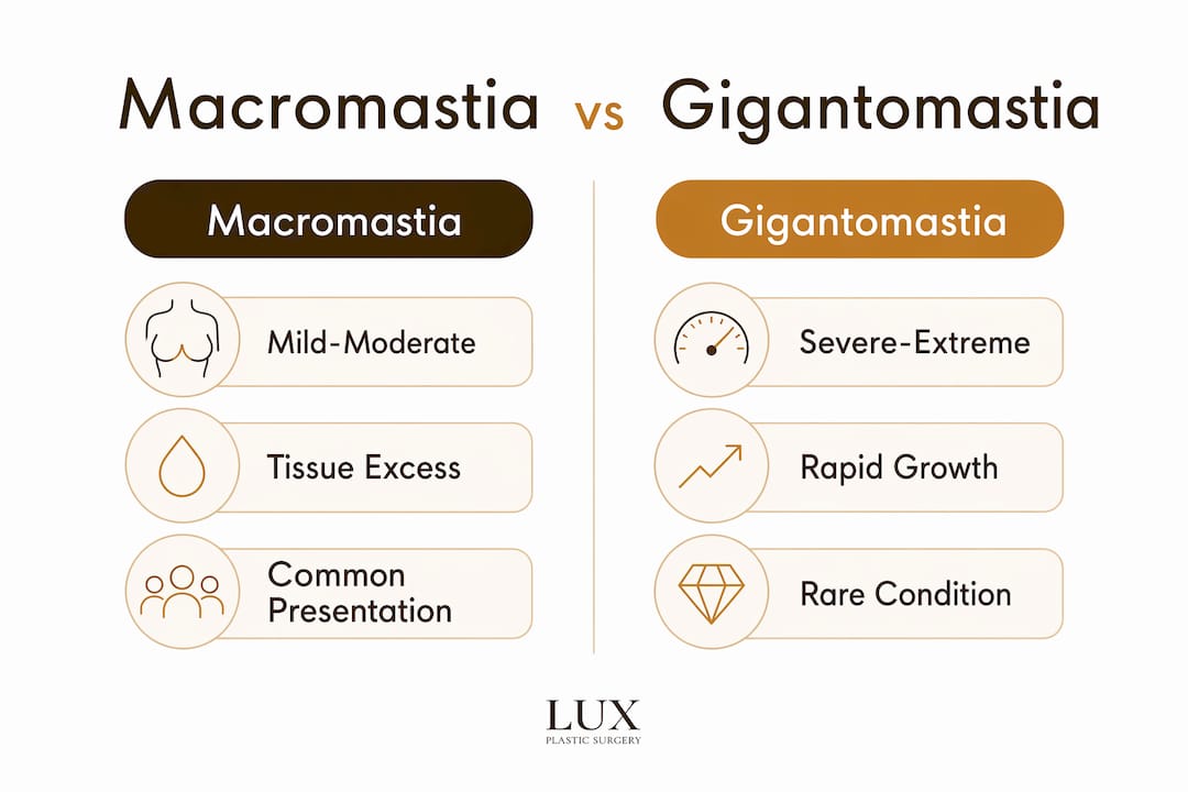 Comparison infographic: macromastia versus gigantomastia