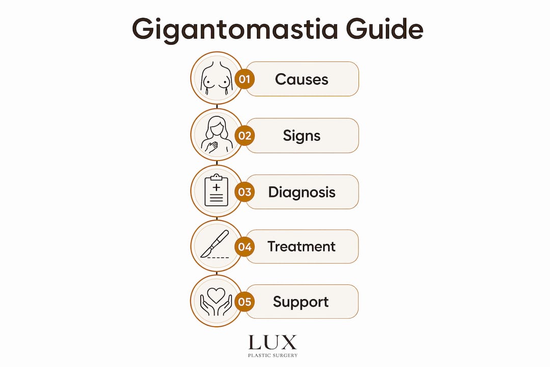 Infographic illustrating gigantomastia causes, diagnosis, treatment, and support steps