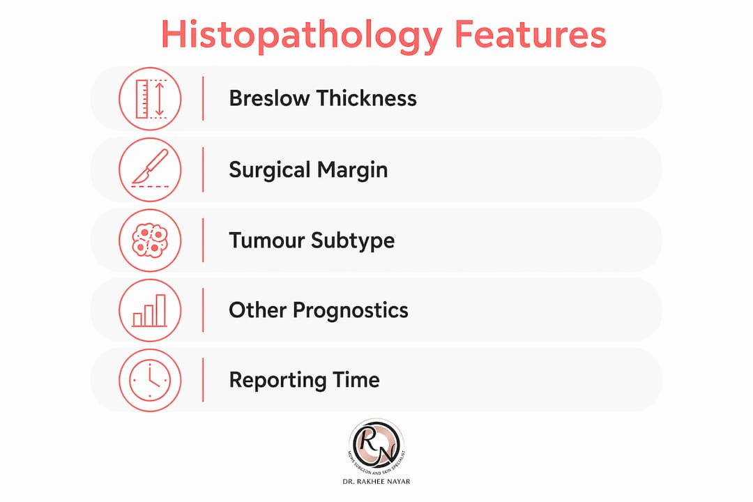 Infographic showing key histopathology features in skin cancer