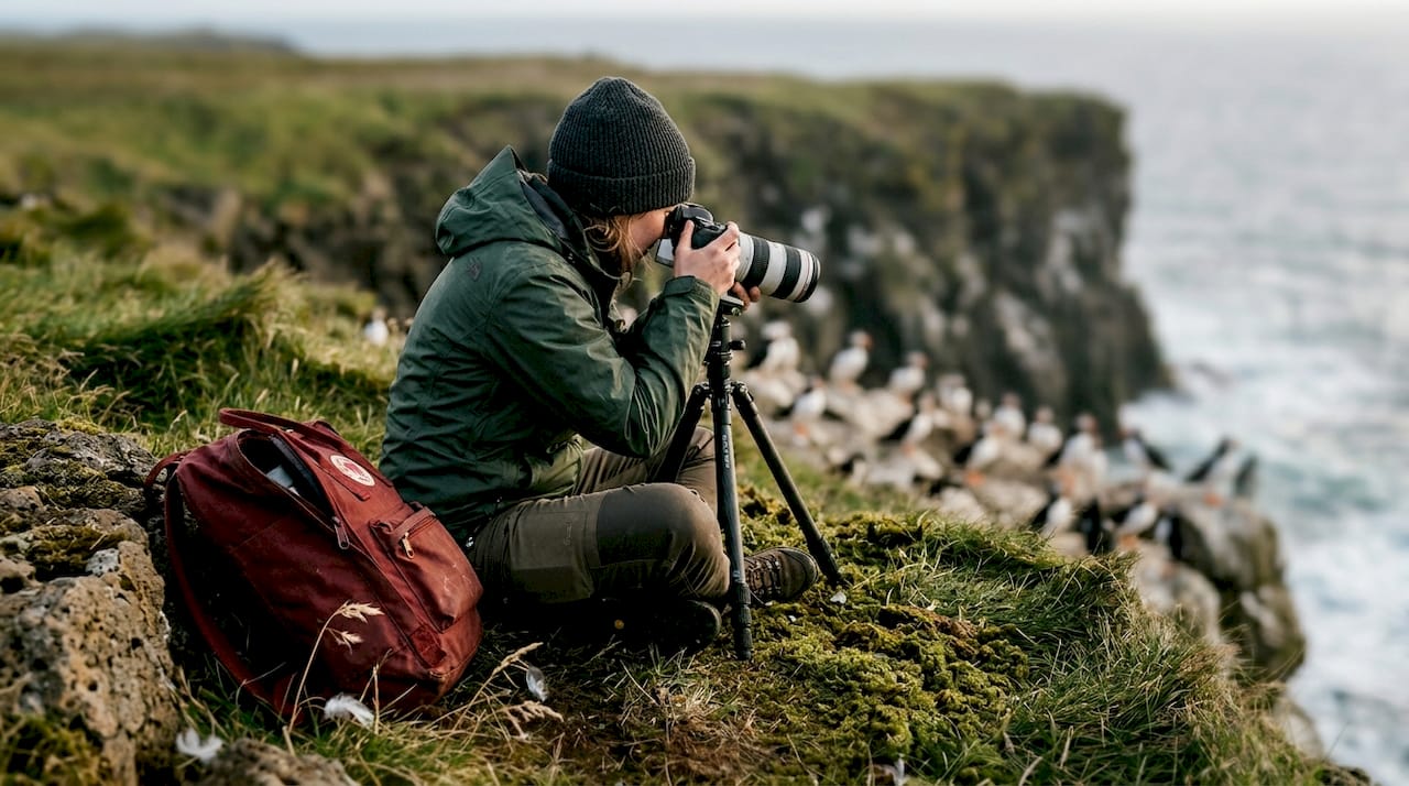 Un photographe observe des macareux perchés sur les falaises islandaises.