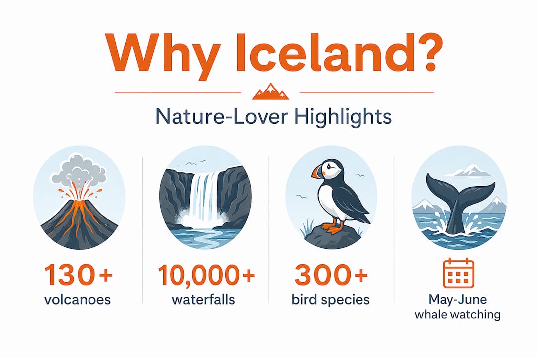 Infographic listing top nature facts about Iceland